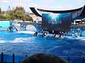 Sea World-134